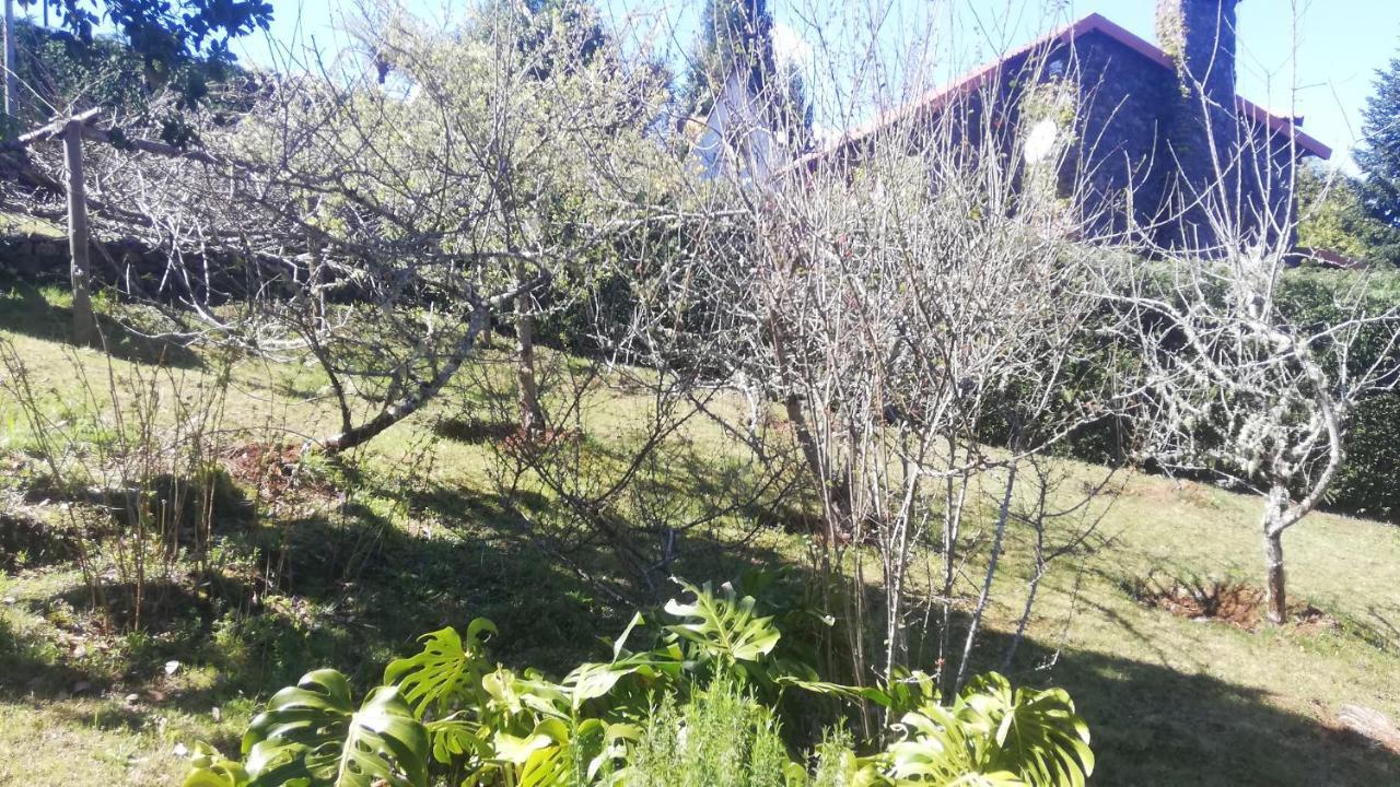 Chalet Pico Das Pedras Сантана Екстер'єр фото